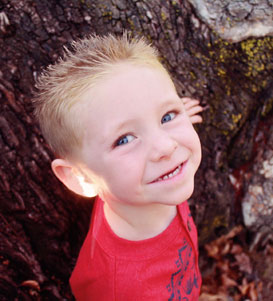 在线网页使用电话轰炸机